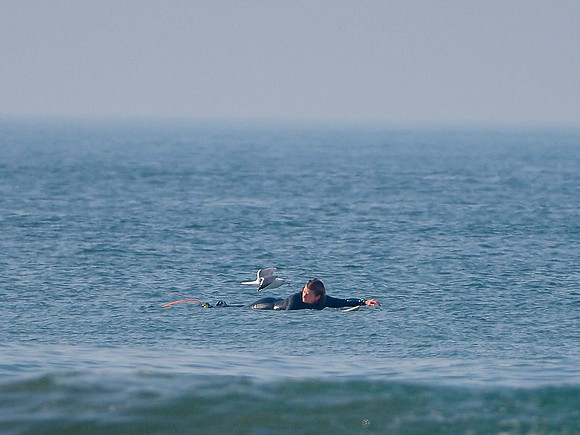 Surfing: Ocean Beach