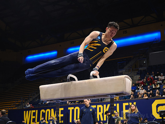 Men’s Gymnastics: California Golden Bears vs Stanford Cardinal