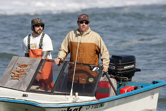 Mavericks 2010