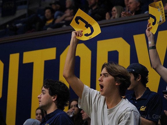 Mens Basketball: California Golden Bears vs Montana State Bobcats