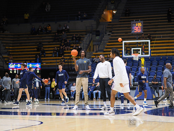 Mens Basketball: California Golden Bears vs Montana State Bobcats