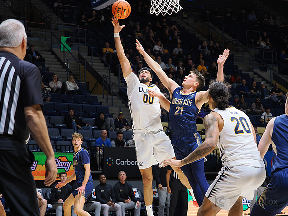 Mens Basketball: California Golden Bears vs Montana State Bobcats