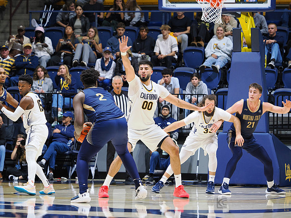 Mens Basketball: California Golden Bears vs Montana State Bobcats