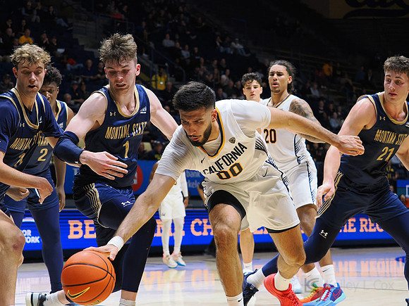 Mens Basketball: California Golden Bears vs Montana State Bobcats