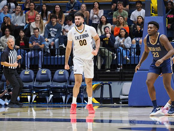 Mens Basketball: California Golden Bears vs Montana State Bobcats