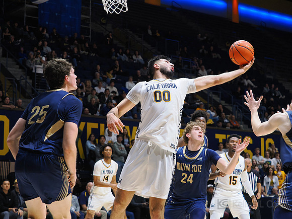 Mens Basketball: California Golden Bears vs Montana State Bobcats