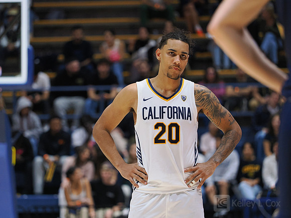 Mens Basketball: California Golden Bears vs Montana State Bobcats