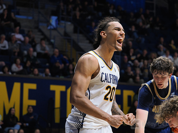 Mens Basketball: California Golden Bears vs Montana State Bobcats