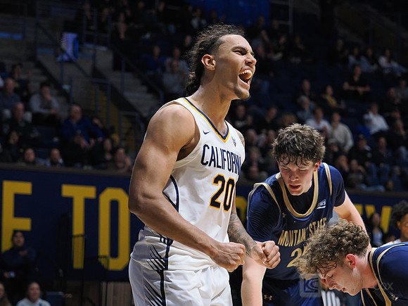 Mens Basketball: California Golden Bears vs Montana State Bobcats