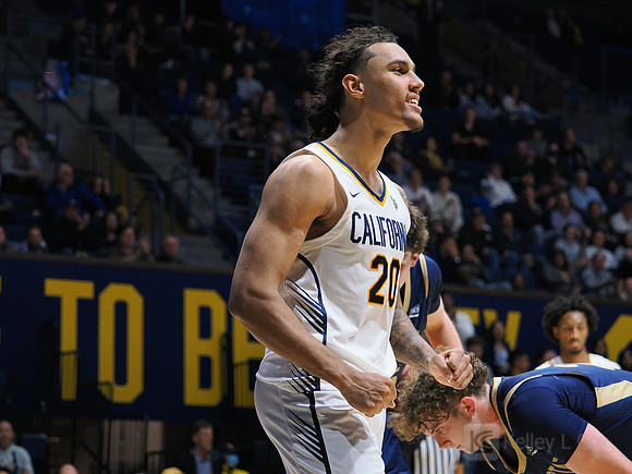 Mens Basketball: California Golden Bears vs Montana State Bobcats