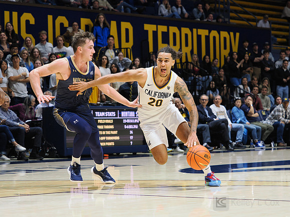 Mens Basketball: California Golden Bears vs Montana State Bobcats