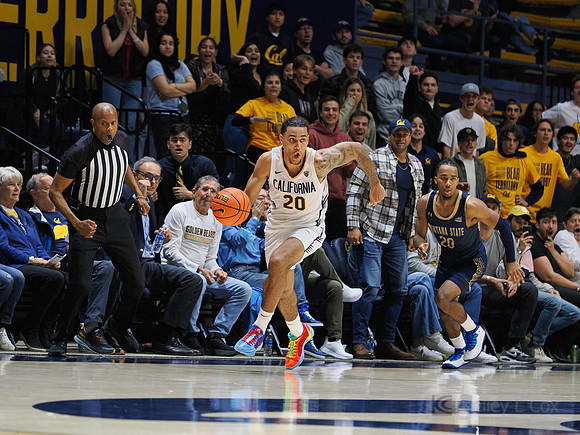 Mens Basketball: California Golden Bears vs Montana State Bobcats