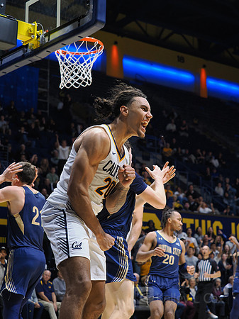 Mens Basketball: California Golden Bears vs Montana State Bobcats