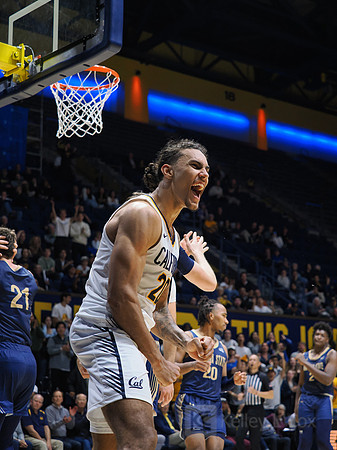 Mens Basketball: California Golden Bears vs Montana State Bobcats