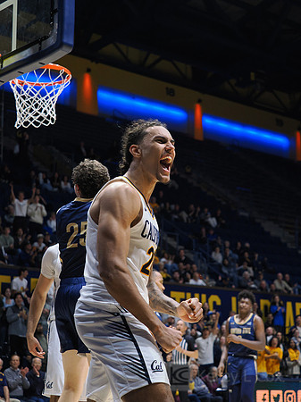 Mens Basketball: California Golden Bears vs Montana State Bobcats