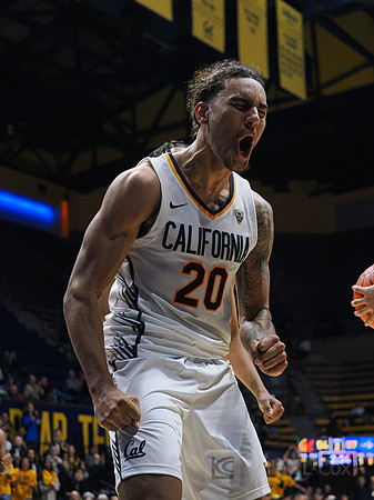 Mens Basketball: California Golden Bears vs Montana State Bobcats