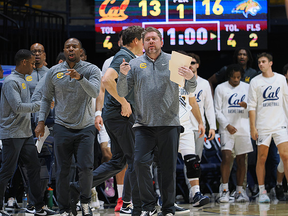 Mens Basketball: California Golden Bears vs Montana State Bobcats