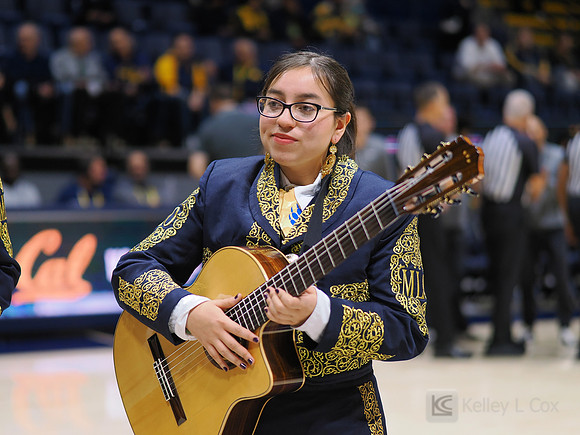 Mens Basketball: California Golden Bears vs Montana State Bobcats