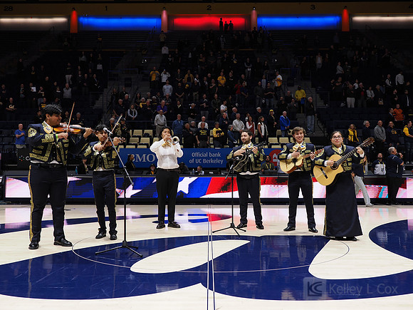 Mens Basketball: California Golden Bears vs Montana State Bobcats