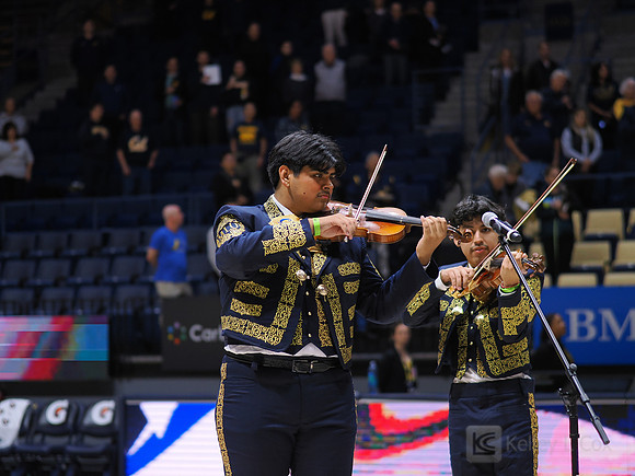 Mens Basketball: California Golden Bears vs Montana State Bobcats