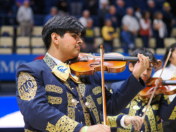 Mens Basketball: California Golden Bears vs Montana State Bobcats