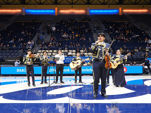 Mens Basketball: California Golden Bears vs Montana State Bobcats
