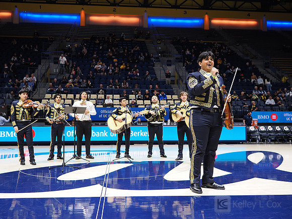 Mens Basketball: California Golden Bears vs Montana State Bobcats
