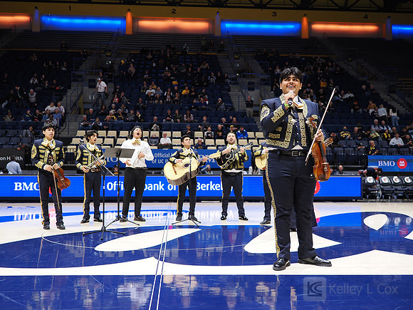 Mens Basketball: California Golden Bears vs Montana State Bobcats