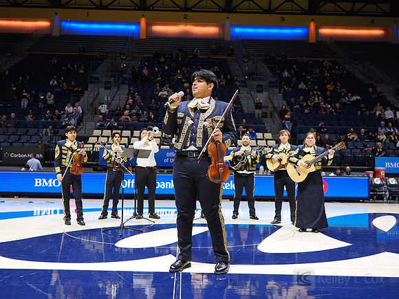 Mens Basketball: California Golden Bears vs Montana State Bobcats