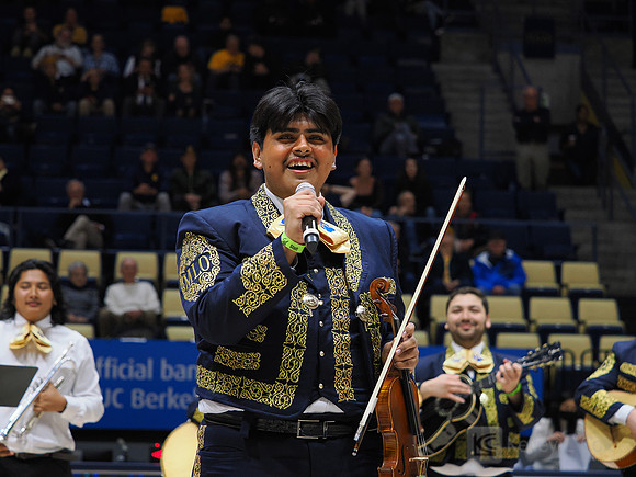 Mens Basketball: California Golden Bears vs Montana State Bobcats