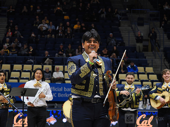 Mens Basketball: California Golden Bears vs Montana State Bobcats