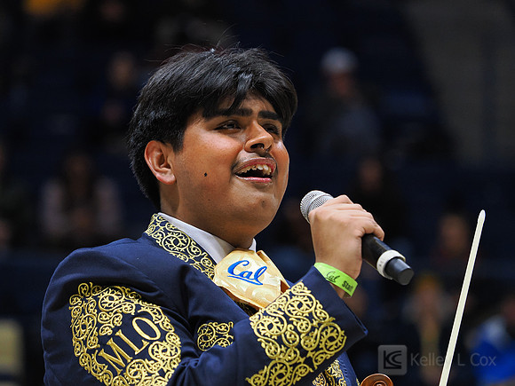 Mens Basketball: California Golden Bears vs Montana State Bobcats