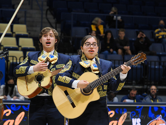 Mens Basketball: California Golden Bears vs Montana State Bobcats