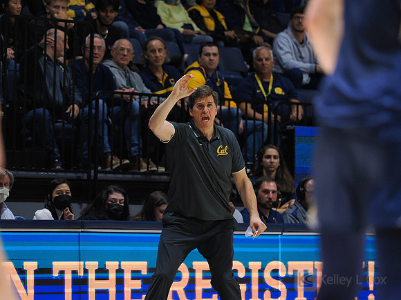 Mens Basketball: California Golden Bears vs Montana State Bobcats
