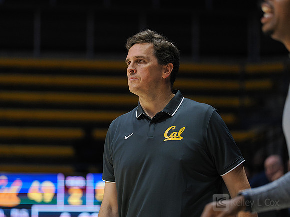 Mens Basketball: California Golden Bears vs Montana State Bobcats