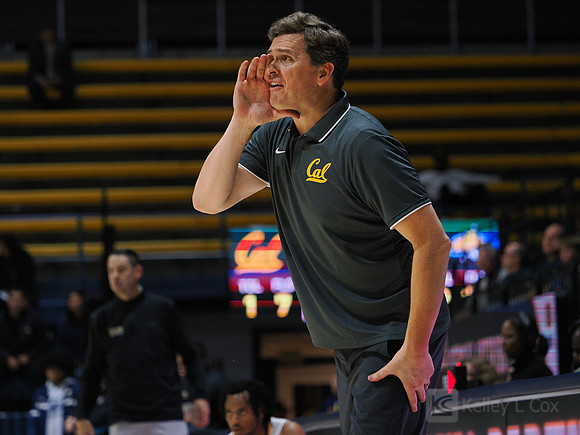 Mens Basketball: California Golden Bears vs Montana State Bobcats