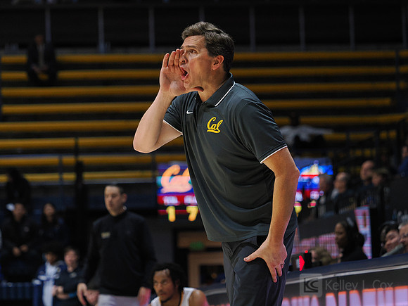 Mens Basketball: California Golden Bears vs Montana State Bobcats