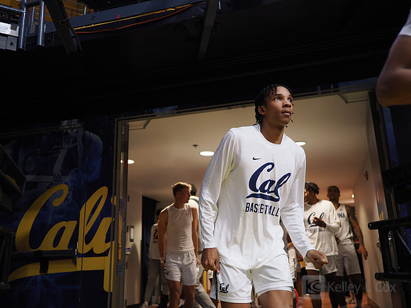 Mens Basketball: California Golden Bears vs Montana State Bobcats
