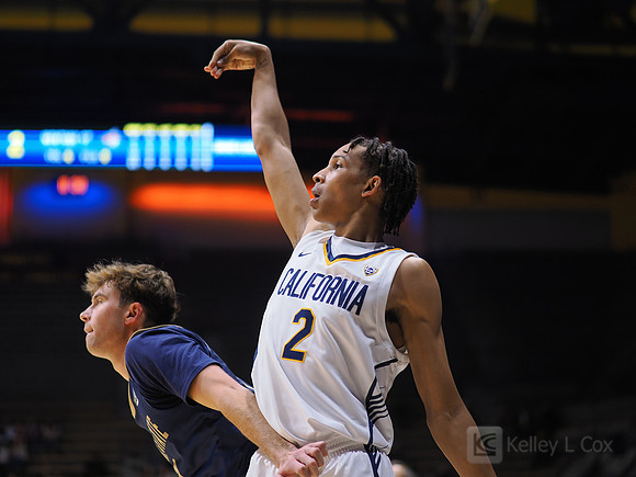 Mens Basketball: California Golden Bears vs Montana State Bobcats