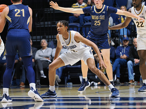 Mens Basketball: California Golden Bears vs Montana State Bobcats