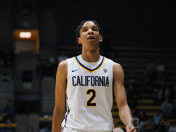 Mens Basketball: California Golden Bears vs Montana State Bobcats