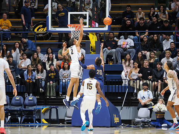 Mens Basketball: California Golden Bears vs Montana State Bobcats