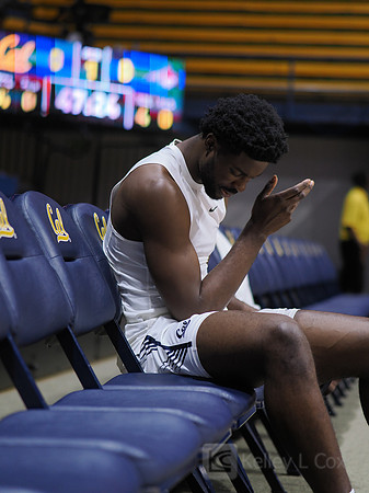 Mens Basketball: California Golden Bears vs Montana State Bobcats