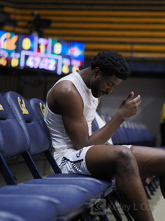 Mens Basketball: California Golden Bears vs Montana State Bobcats