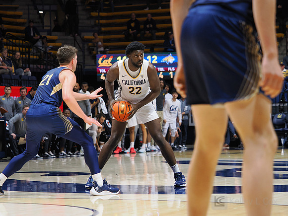 Mens Basketball: California Golden Bears vs Montana State Bobcats