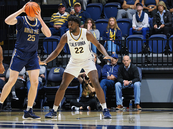 Mens Basketball: California Golden Bears vs Montana State Bobcats