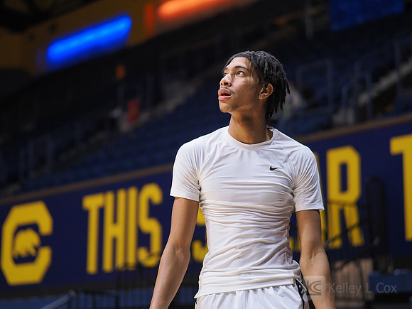Mens Basketball: California Golden Bears vs Montana State Bobcats