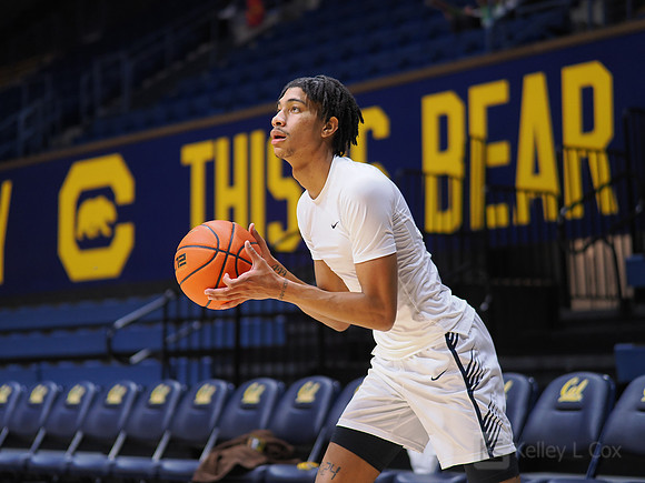 Mens Basketball: California Golden Bears vs Montana State Bobcats