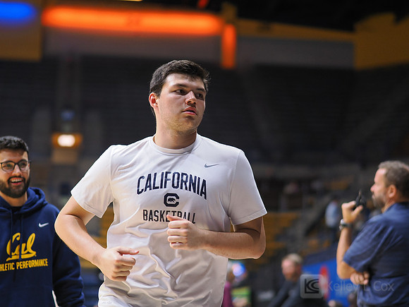 Mens Basketball: California Golden Bears vs Montana State Bobcats
