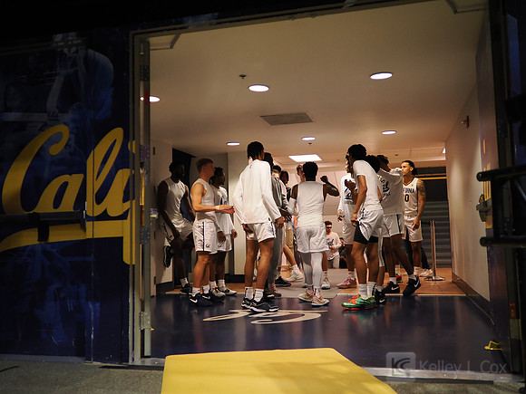 Mens Basketball: California Golden Bears vs Montana State Bobcats